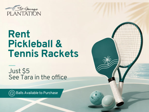 Pickleball rackets and balls for rent $5 on green court.