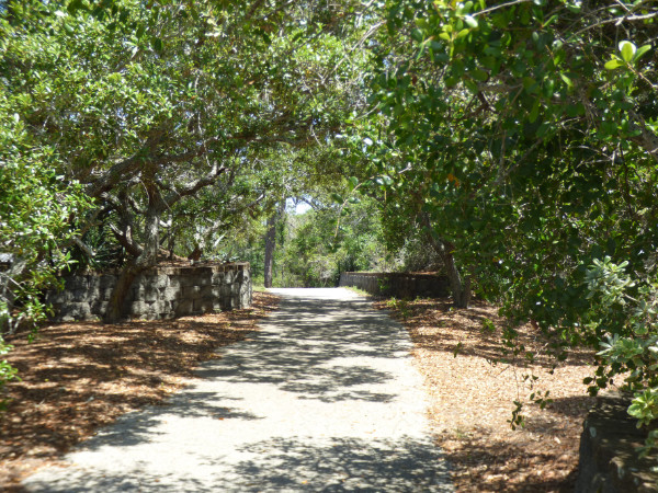 A trail at the St George Plantation.