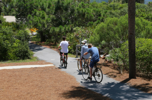 People cycling on the bike trail.