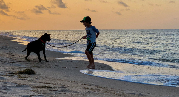 A boy and his dog on the beach.