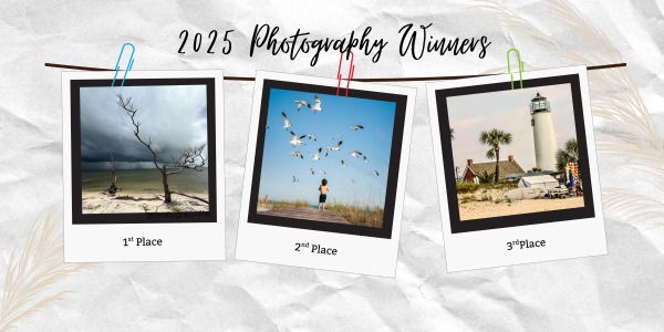 3 beautiful photographs showing a beach, a lighthouse and a little boy. 2025 Photo winners.