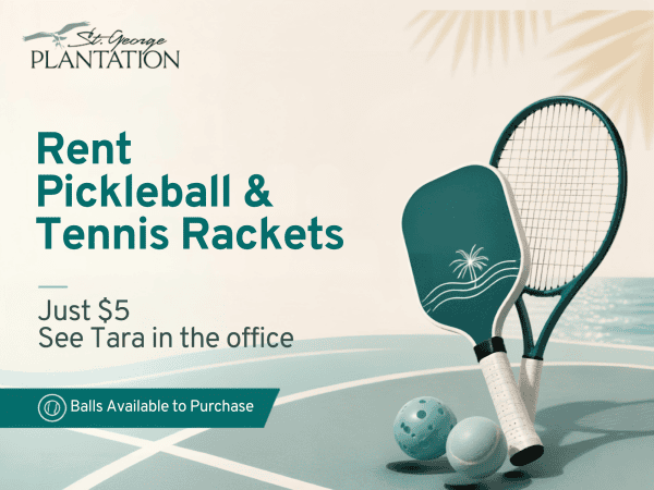 Pickleball rackets and balls for rent $5 on green court.