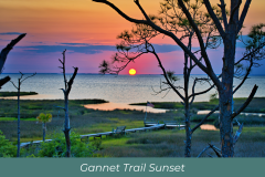 Gannet Trail Sunset Michael Yelvington - 1